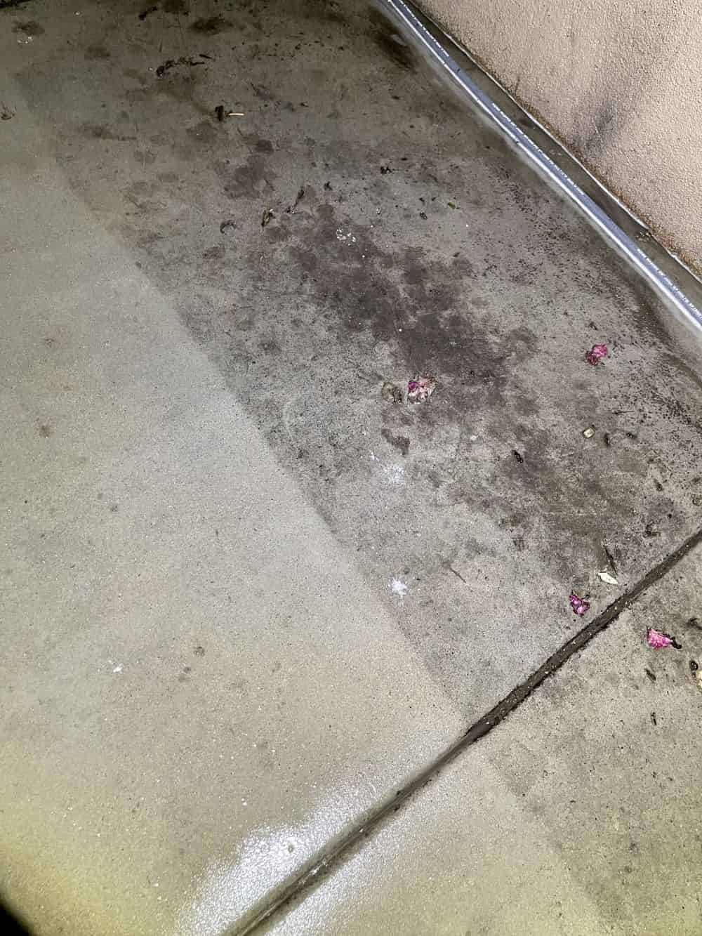Sidewalk Cleaning image