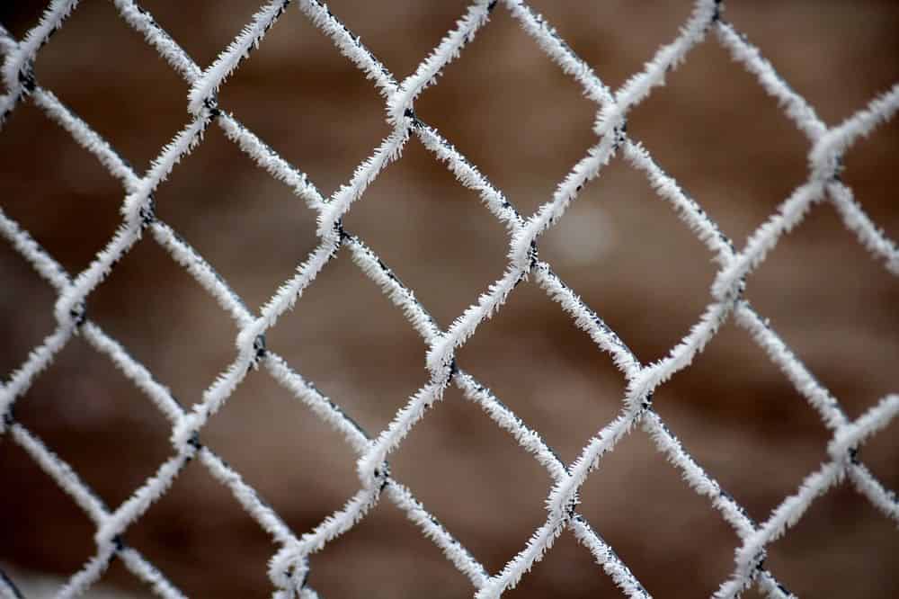 Bird Netting Installation image