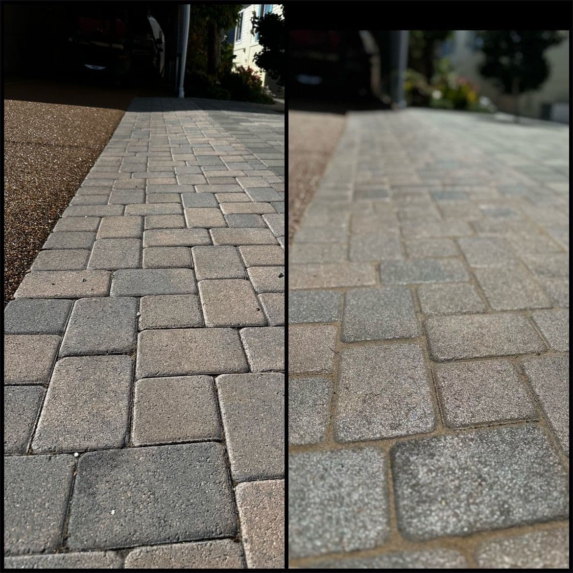 Project Revitalized Paver Walkways Shine with New Sealing image