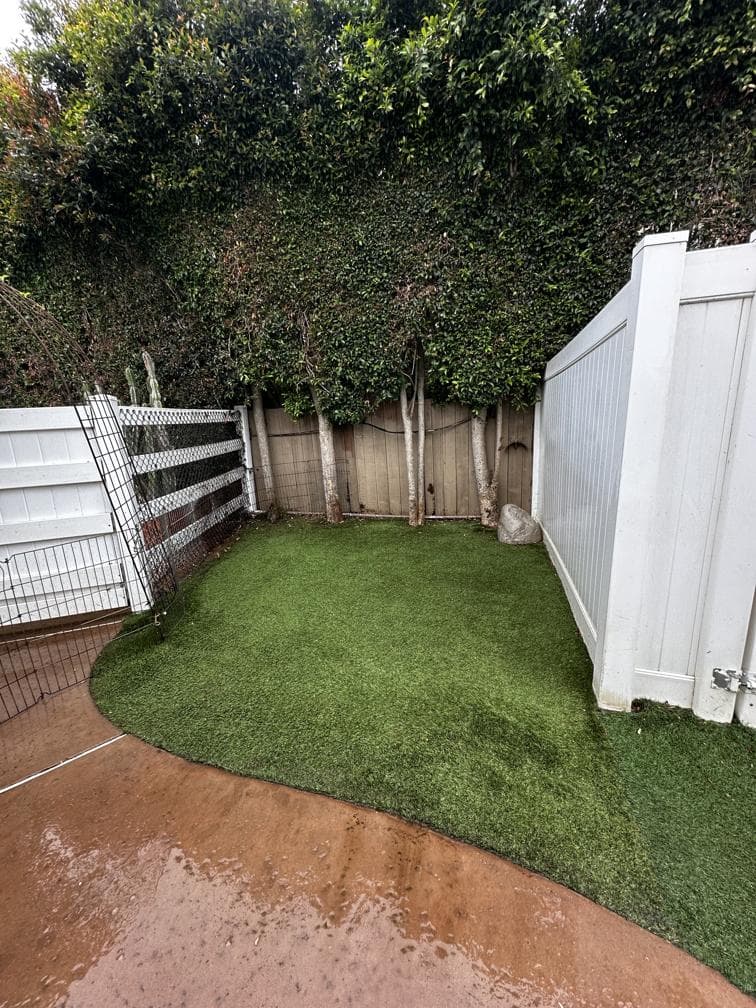 Remove Pet Odors with Reliable Surface Cleaning image