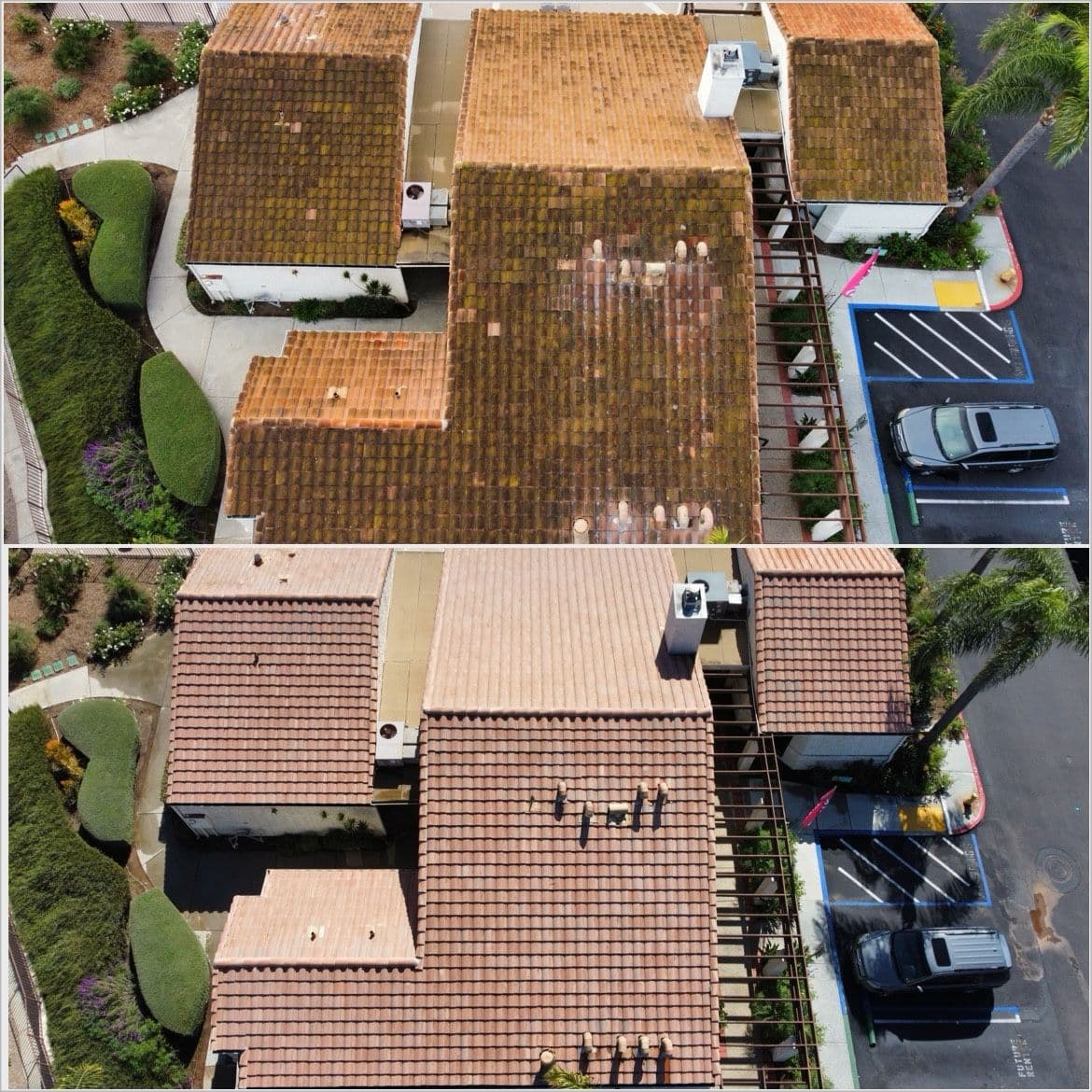 Impressive Roof Cleaning at a 150-Unit Apartment Complex image