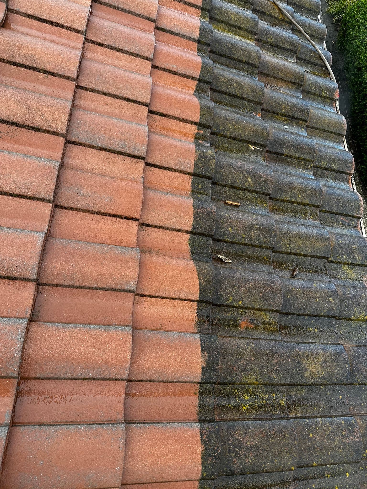 Roof Cleaning Magic at its Best image